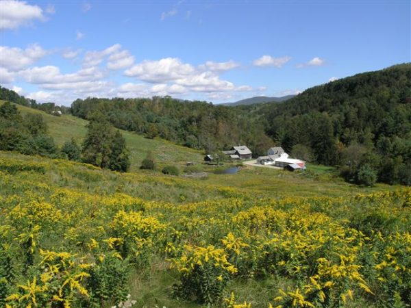 Firefly Hike At Sheep Hill Williamstown Rural Lands