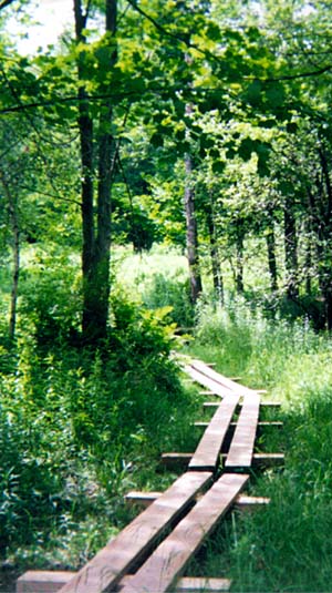 The Phelps Trail