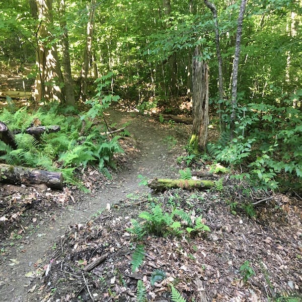 Spring Maintenance on the WRLF Loop Trail (All slots FILLED)