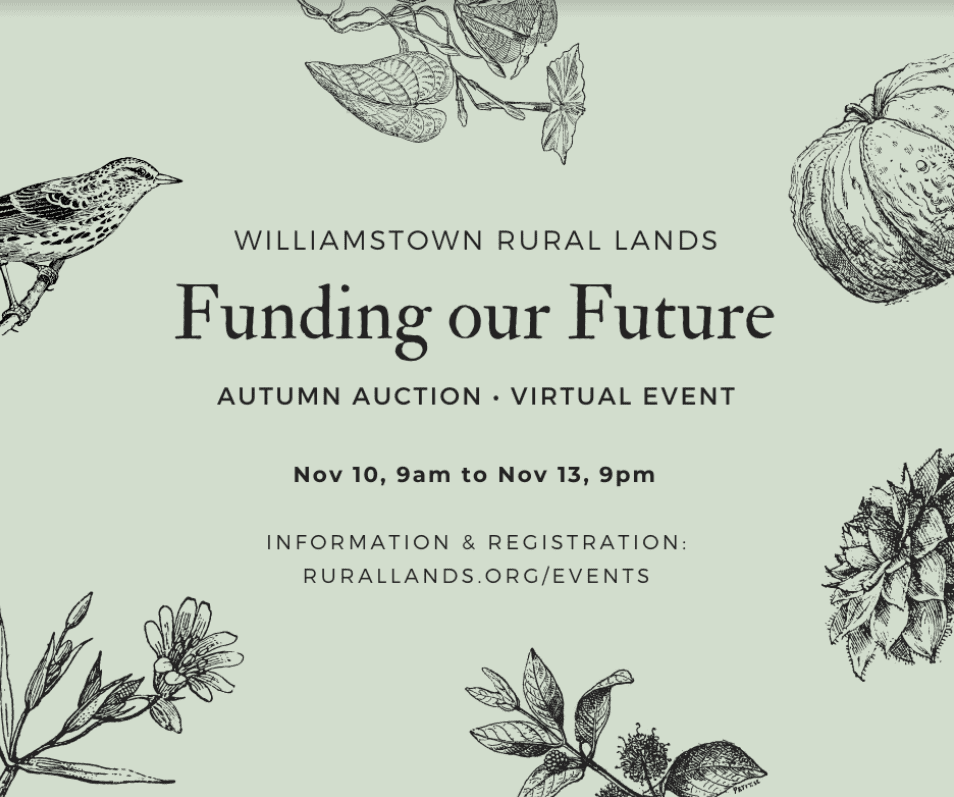 Funding our Future - WRL Online Auction