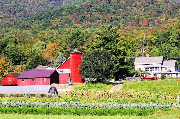 Image of caretaker farm's red barns in the fall.