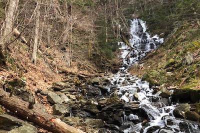 View of the cascading waterfall of Money Brook.