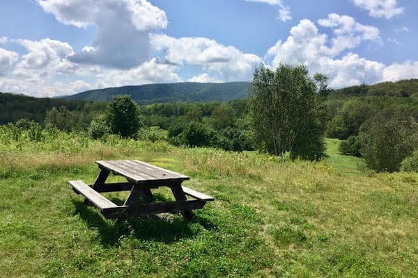 Photo of picnic table in grassy field at Tenney Meadows.