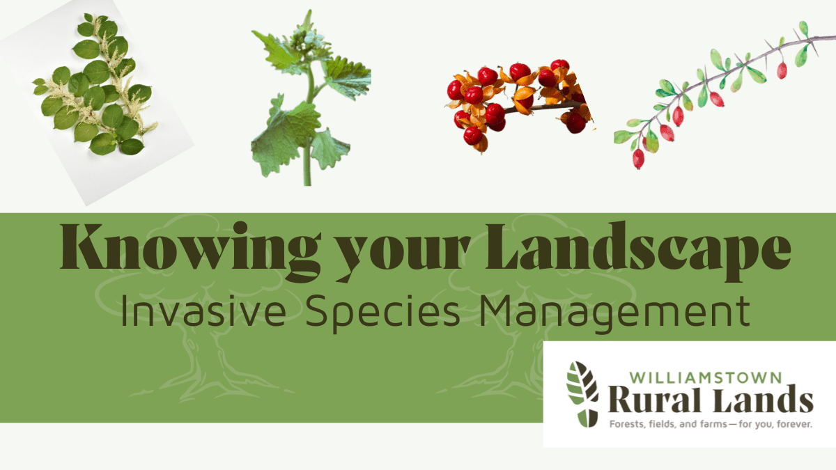 Knowing Your Landscape: Invasive Species Management