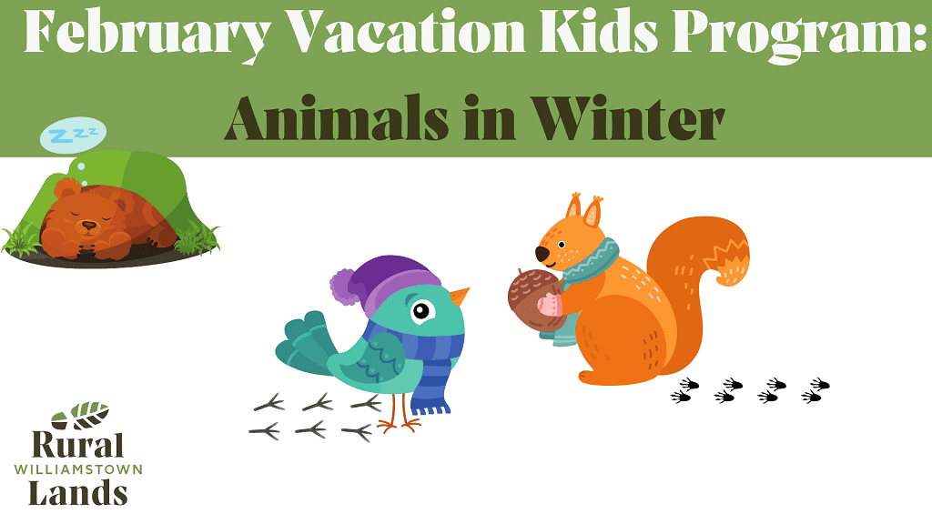 February Vacation Kids Program: Animals in Winter - fully booked - waitlist open until February 16!