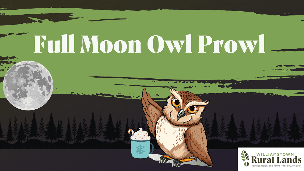 Full Moon Owl Prowl