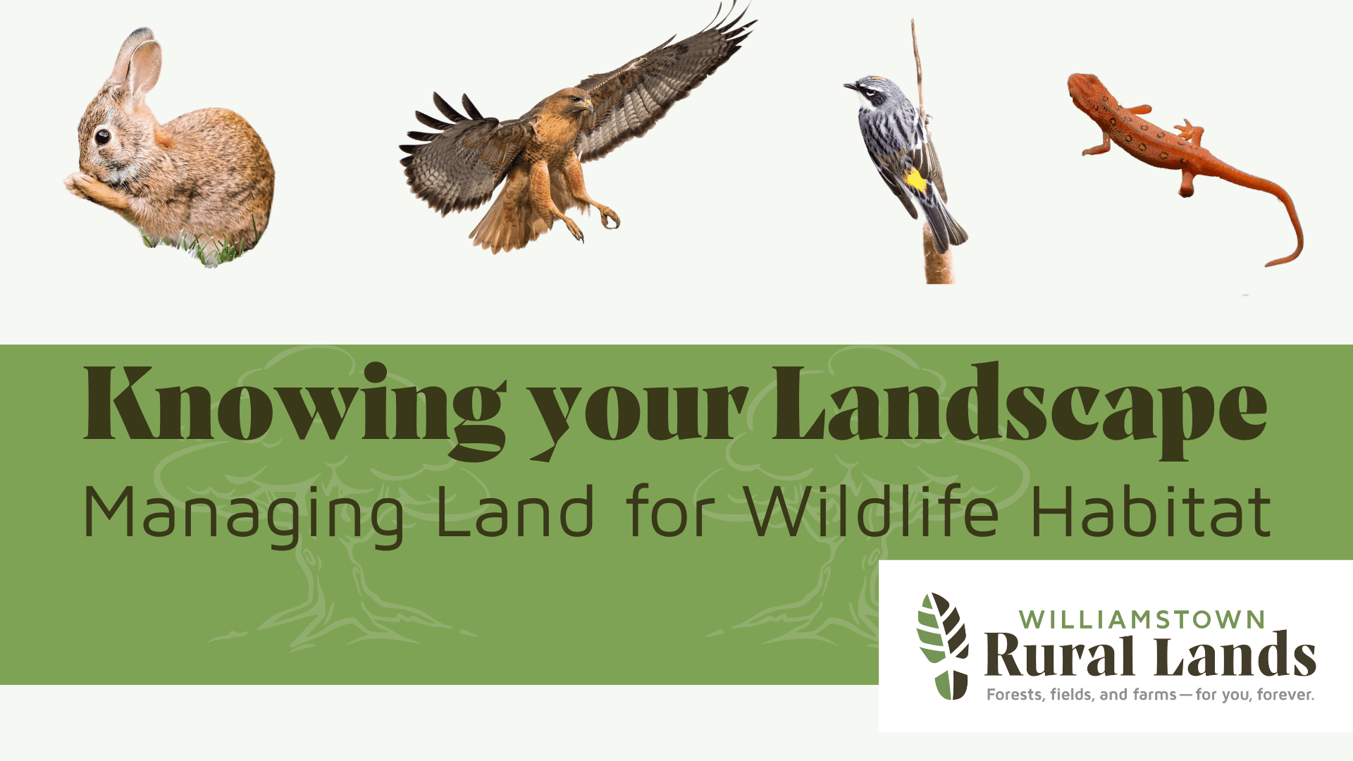 Knowing Your Landscape: Managing Land for Wildlife Habitat