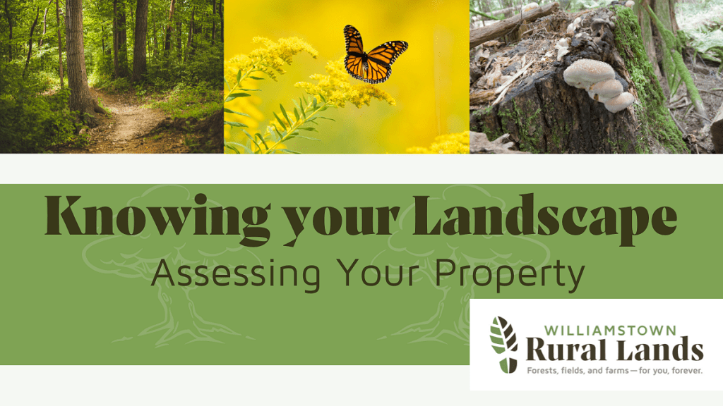 Knowing Your Landscape: Assessing Your Property