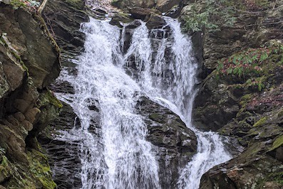 Guided Hike: The Cascades