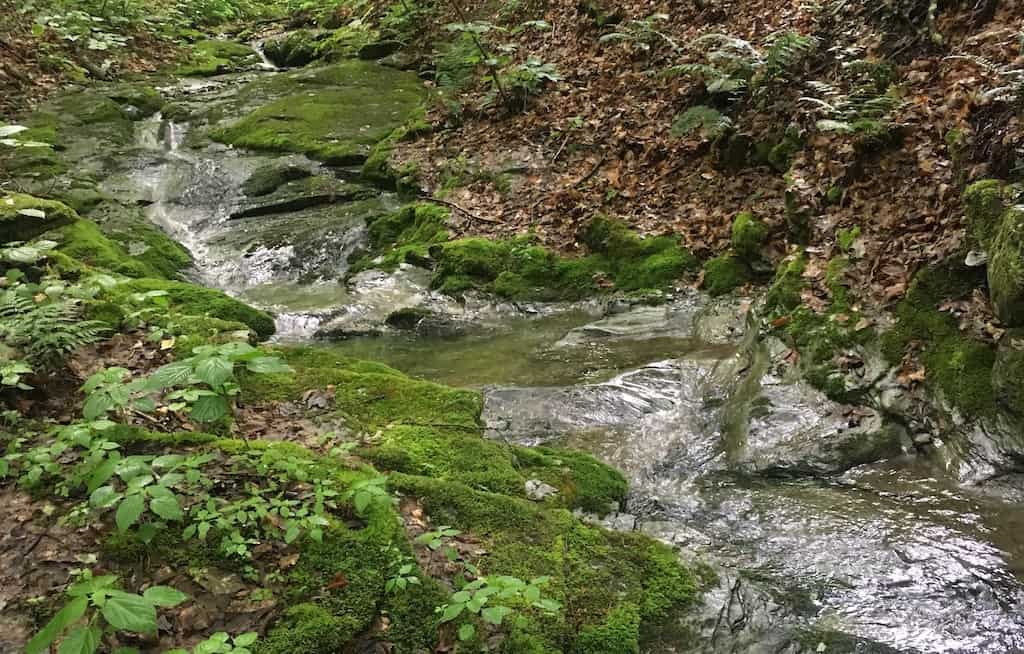 Guided Hike: Haley Brook & Waterfall