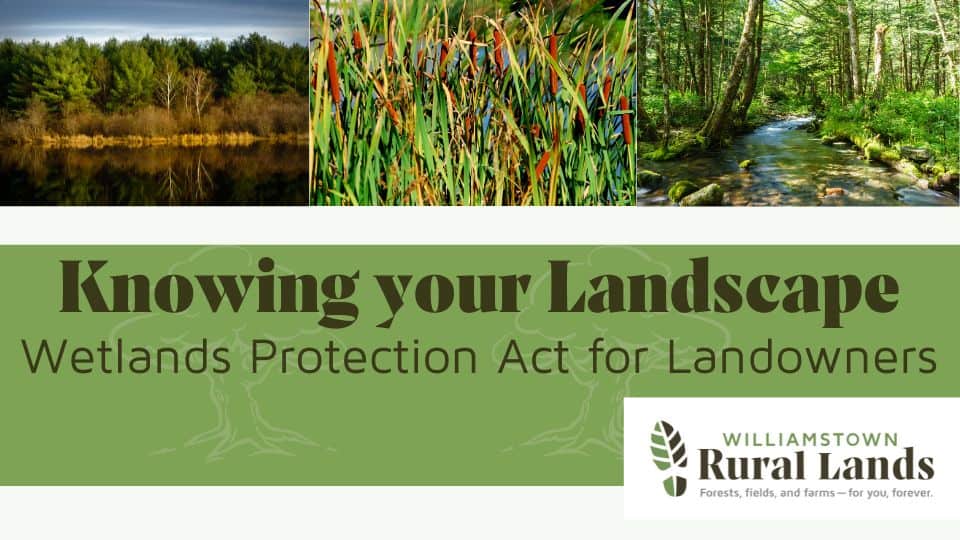 Knowing Your Landscape: Wetlands Protection Act for Landowners