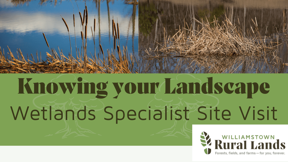 Knowing Your Landscape: Wetlands Specialist Site Visit *Rescheduled*