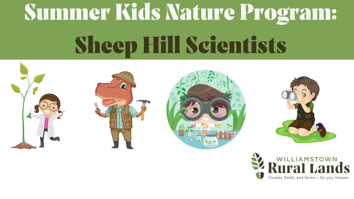Sheep Hill Scientists - Summer Session I (Ages 5-7)