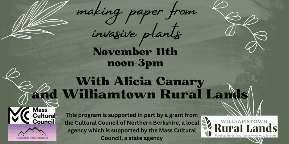 Making Paper with Invasive Plants