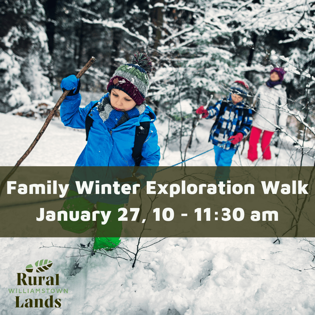 Family Winter Exploration Walk