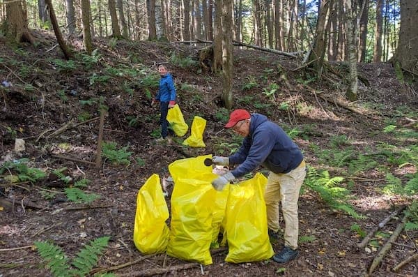 Invasive Species Workdays: Fitch Woodlands Clean-up