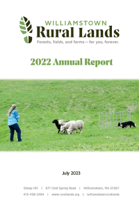 Cover image of annual report.