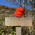 Bright orange hat on top of sign