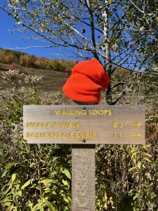 Bright orange hat on top of sign