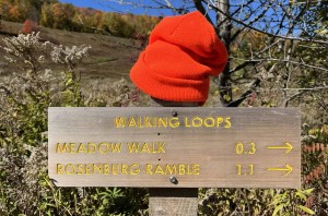 Bright orange hat on top of sign