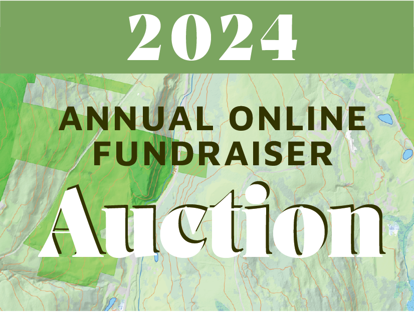 WRL Online Auction Returns!